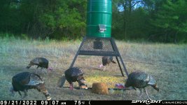 092122 - F4 - 5 Turkey.jpg