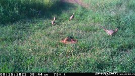 082522 - F17 - 5 ph.jpg