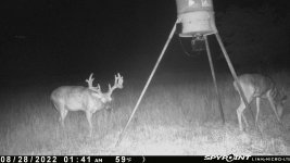 082822 - F18 - 13 pt buck2.jpg