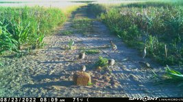 082322 - F1 - 6 ph.jpg