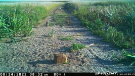 082422 - F1 - 9 ph.jpg