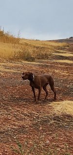 20221001_145121_resized (1).jpg