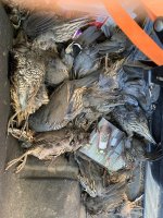 2022 first trip day 2.jpg