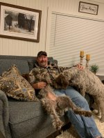 2 Griffon's enjoying a night off.jpg