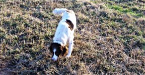 maggie 11-21-22b.JPG