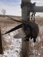 171D8C25-A0CD-4DB9-8417-8C11201BE3D3.jpeg 171D8C25-A0CD-4DB9-8417-8C11201BE3D3.jpeg