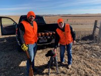 11-27 birds  Parks.jpg