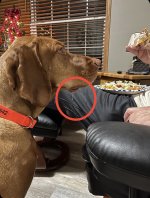 5019AEF3-7145-4D9A-BD15-F3ACF5A4A6C0.jpeg 5019AEF3-7145-4D9A-BD15-F3ACF5A4A6C0.jpeg