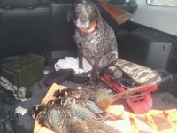 Rosi Snowshoe 2015.jpg