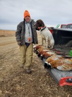 1-2 Mark & Rowdy.jpg