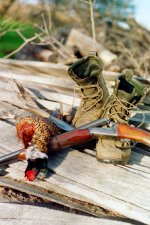 Copy (2) of boots knife bird gun.jpg