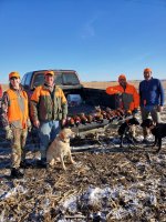 12-18 birds with cousins.jpg