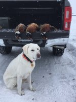 12-19-22 roosters big.jpg