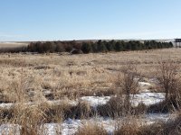 old belt w tower.jpg