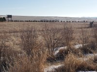 New with tower form distance.jpg