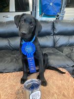 doc with first ribbon.jpg