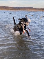 Hunt, 2022-12-28 (1).JPG