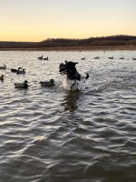 Hunt, 2022-12-17 (1).JPG