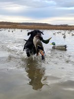 Hunt, 2022-12-14 (4).JPG