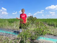 2023 False Indigo.jpg