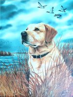 Print_YellowLab.jpg Print_YellowLab.jpg