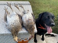 Dixie with S-T grouse.JPG