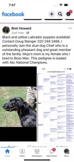 Screenshot 2023-05-03 at 7.47.35 PM.jpeg