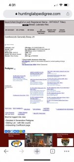 Labrador retriever Pedigree of Candlewoods Genera….jpeg