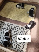 20230622_160048 (1).jpg