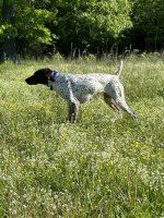 MicrosoftTeams-image (59).jpg