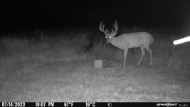 071423 - F30N - 9 pt buck.jpg