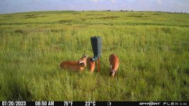 072023 - F3D - 3 Doe.jpg