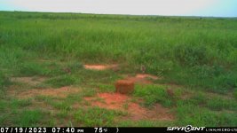 072023 - F15MI - 4 ph.jpg