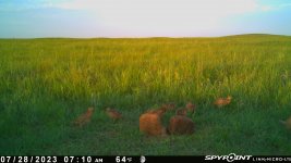 072823 - F21NE - 8 half grown ph.jpg