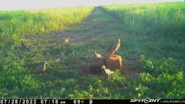 072823 - F31S - 6 ph.jpg