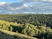 Grouse hunting WY 9-8-2023 (2).JPG