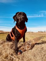 Photo Oct 19 2022, 9 59 07 AM.jpg