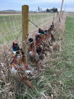 attachment1698673918757 (002).jpg