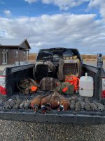 Oregon Oct 2023 1.jpg