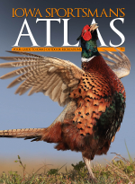 1700498858681.png 1700498858681.png