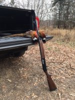 11-25-23 roosters.jpg