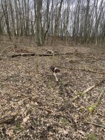 IMG_7487.jpeg IMG_7487.jpeg