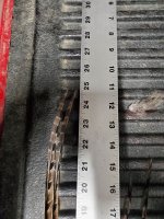 1.1.24 tail feathers.jpg 1.1.24 tail feathers.jpg