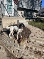 1704163329956.jpeg 1704163329956.jpeg