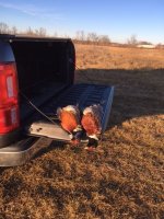 12-29-23 roosters.jpg