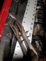 1.6.24 spurs.jpg 1.6.24 spurs.jpg