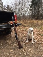 11-25-23 roosters dog.jpg