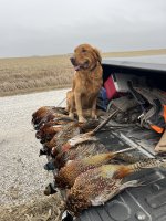 IMG_3732.jpeg IMG_3732.jpeg