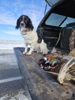 Mina2024.jpg Mina2024.jpg