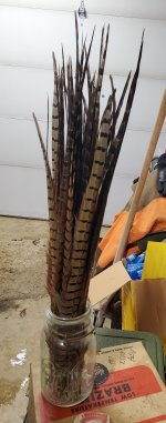 2023-2024 tailfeathers.jpg